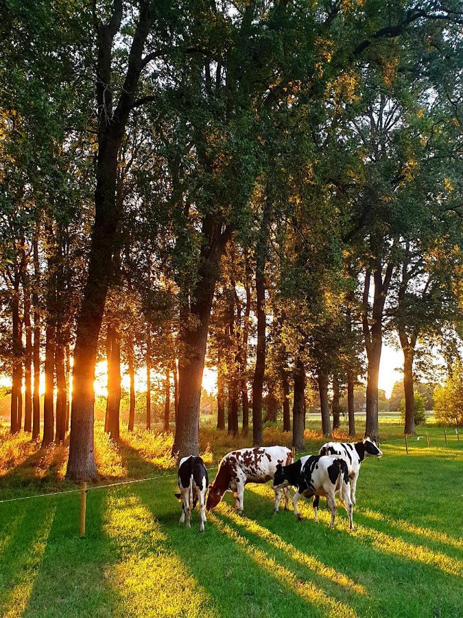 Erve Iemhorst Bed & Breakfast Losser Dış mekan fotoğraf